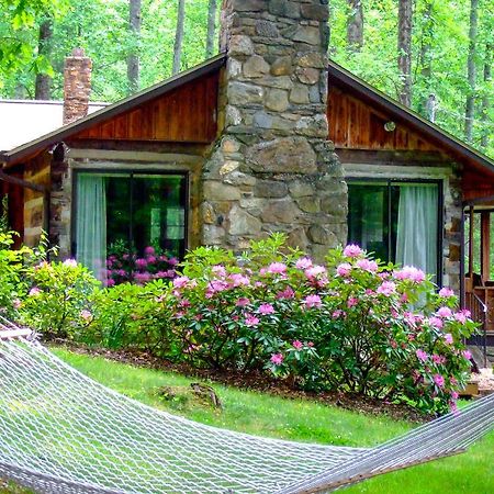 Asheville Cabins Of Willow Winds Exterior foto